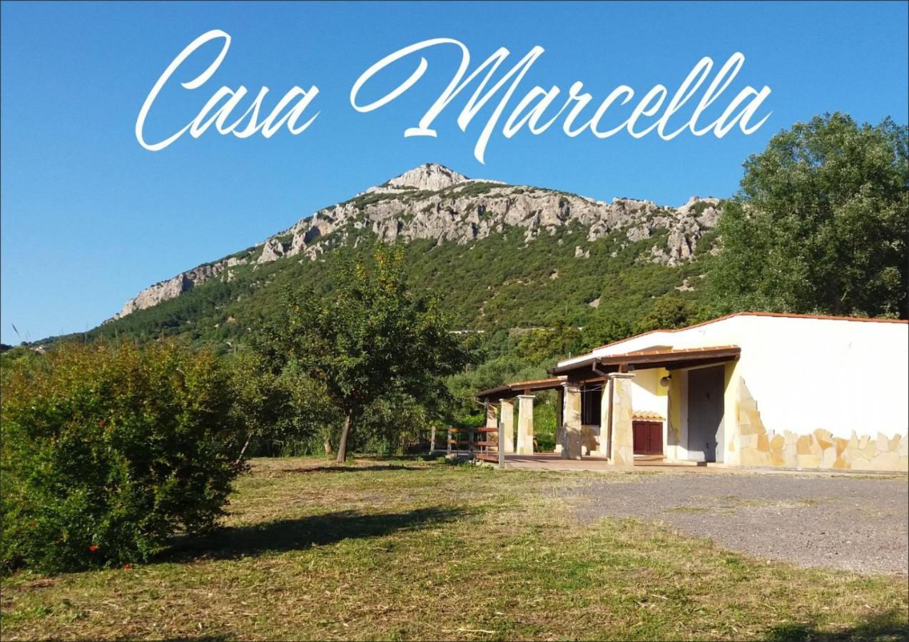 Апартаменты Casa Marcella Доргали Экстерьер фото